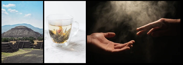 Final thoughts on cannabis