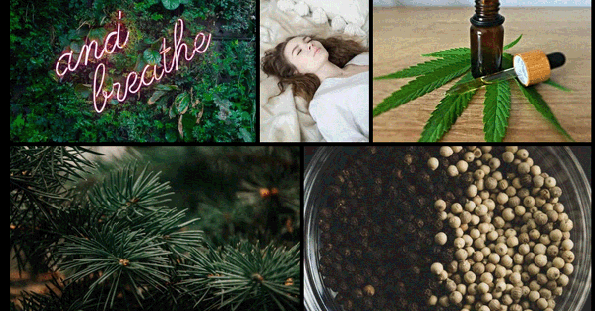 Misconceptions of THC