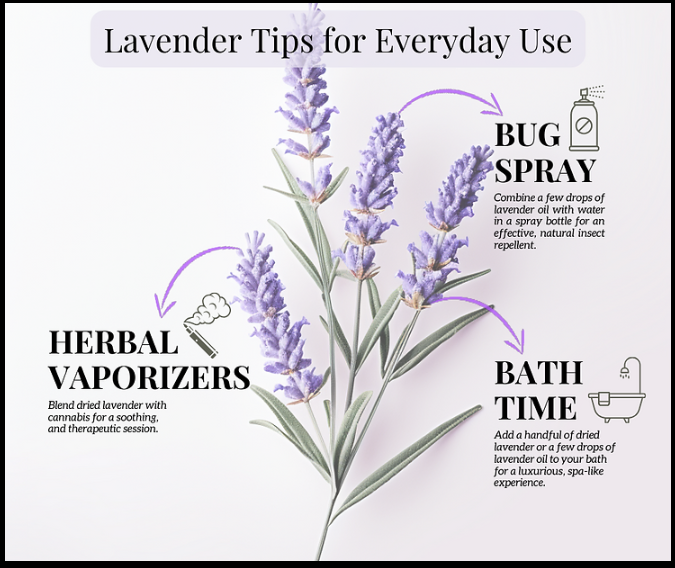 Practical Uses for Lavender