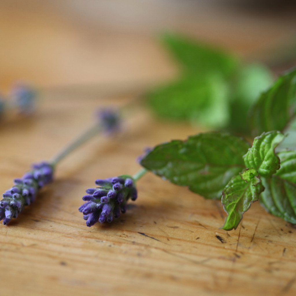 Peppermint and Lavender